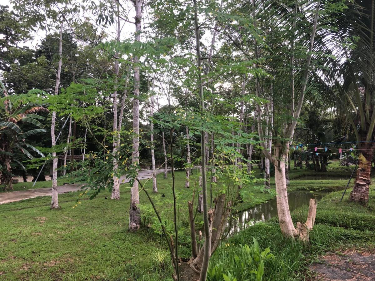 Kota Belud Grace Guesthouse מראה חיצוני תמונה